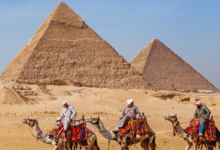 Bariatric surgery in Egypt
