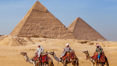 Bariatric surgery in Egypt