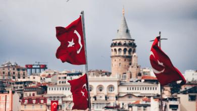 Bariatric surgery in Turkey